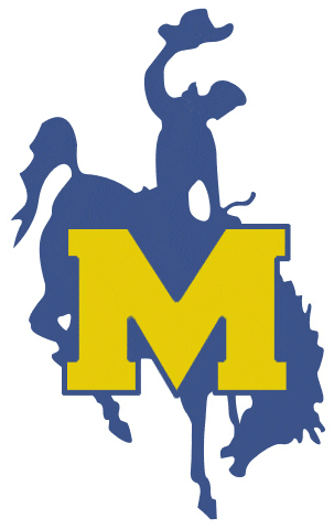 McNeese State Cowboys 1987-2003 Primary Logo DIY iron on transfer (heat transfer)